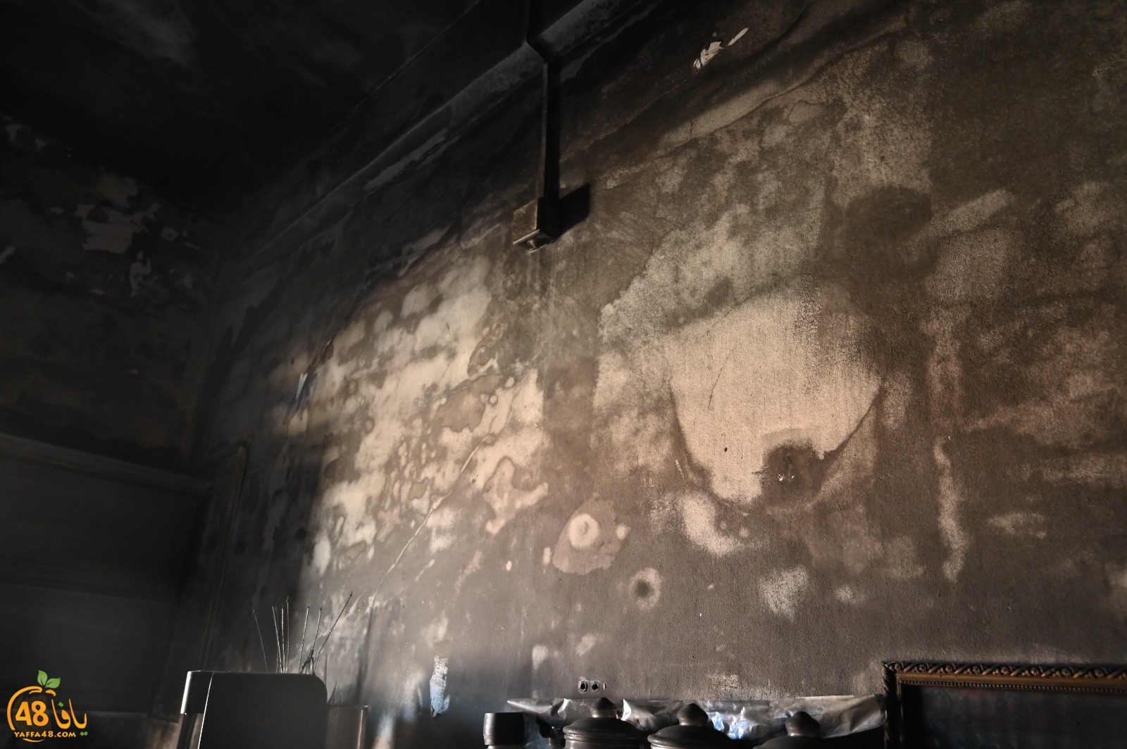 WhatsApp Image 2023-08-03 at 6.56.18 PM (3).jpeg